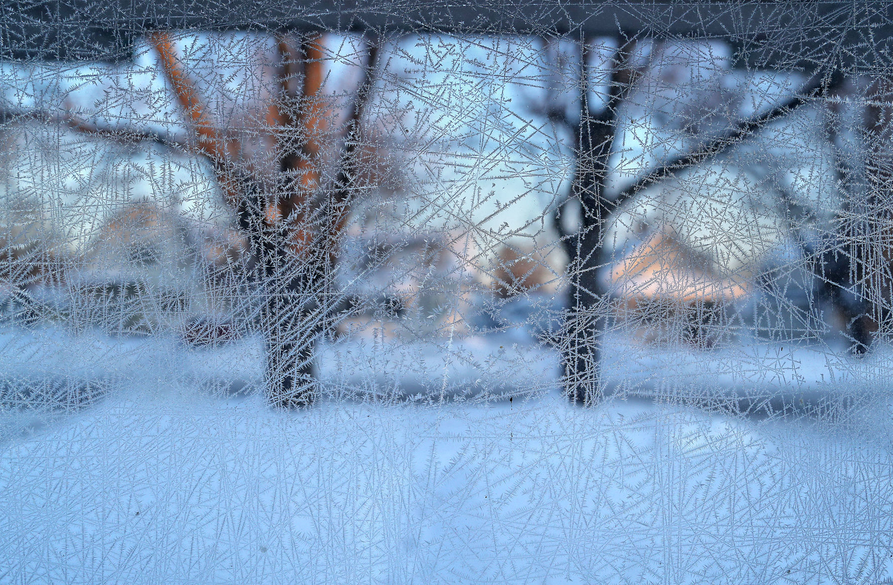 190131_COLDFX03